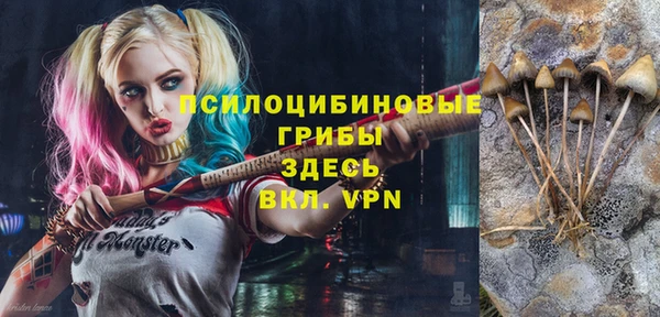 марки nbome Няндома