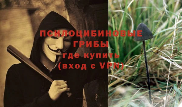 хмурый Нязепетровск