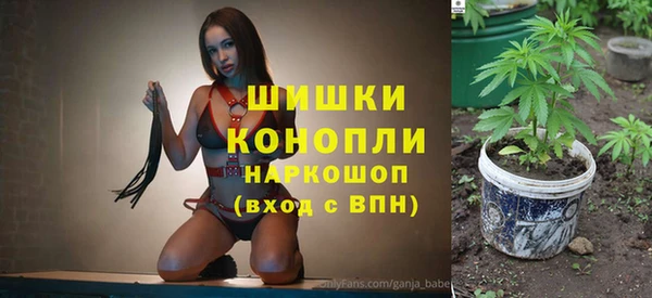 соль ск Бежецк