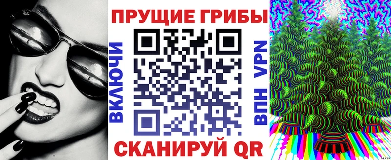 Галлюциногенные грибы Magic Shrooms  наркота  кракен ТОР  Петрозаводск 