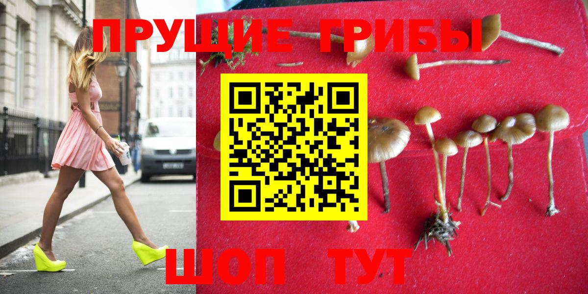 Псилоцибиновые грибы MAGIC MUSHROOMS  Вход с VPN  Галлюциногенные грибы прущие грибы  Петрозаводск 