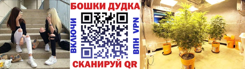 Каннабис конопля Петрозаводск